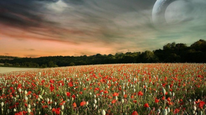 如何写出军工级的代码？